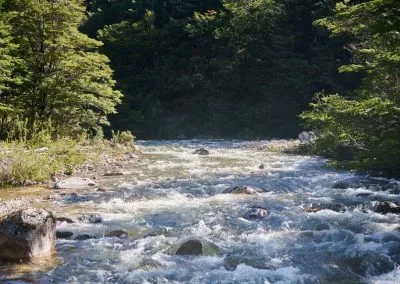 Rápidos del Rio Cisnes