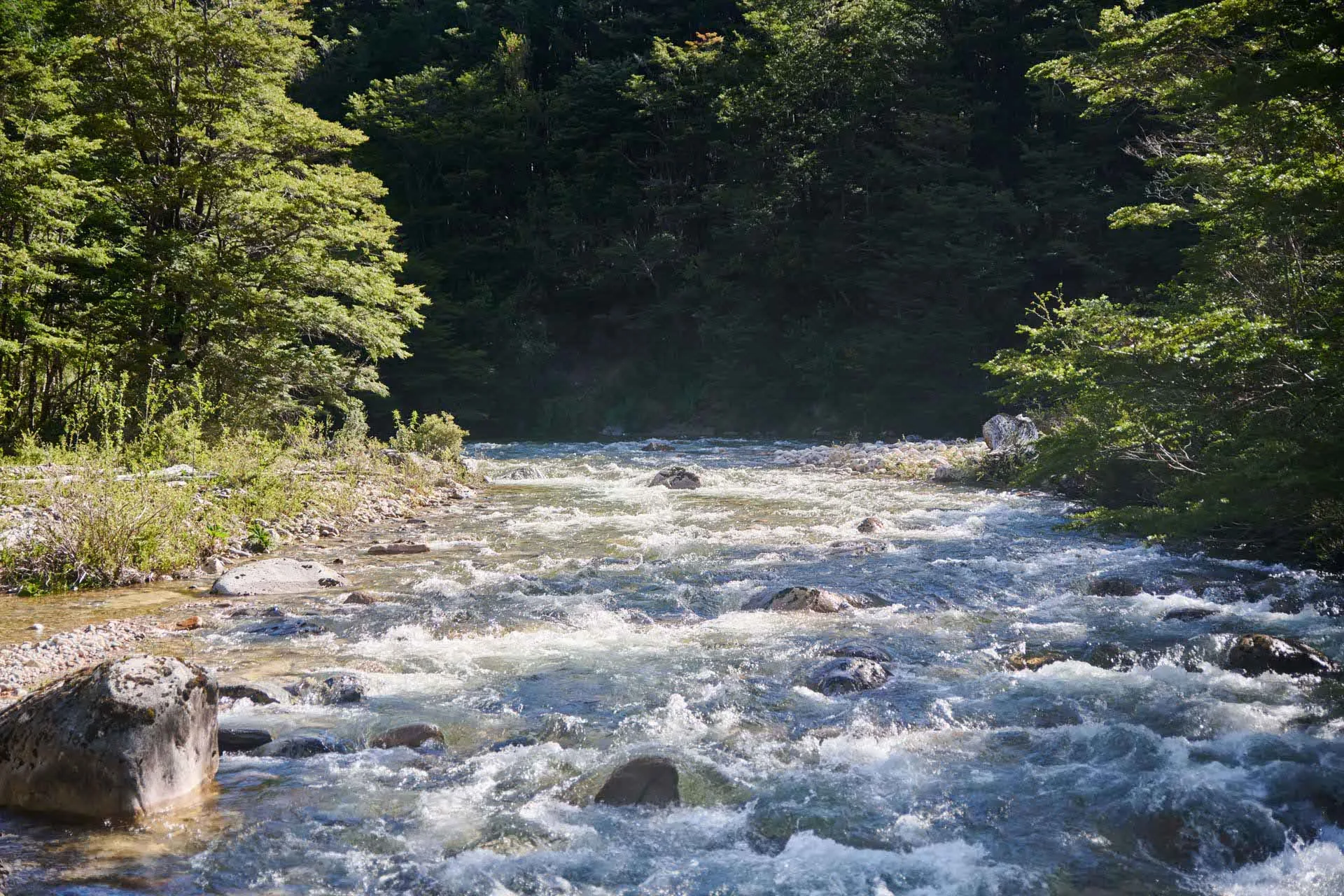 Rápidos del Rio Cisnes