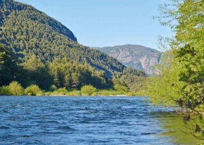 Rio Cisnes, entre bosques y montañas