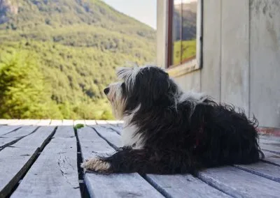 Mirando el horizonte