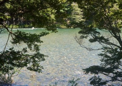 Río Cisnes