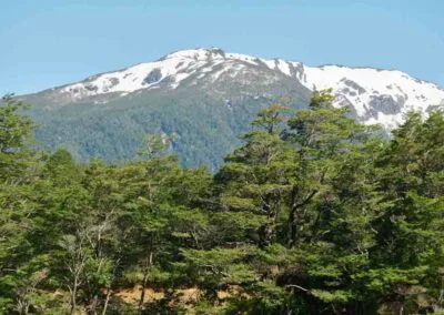Bosques y cerros en Refugio del Alba