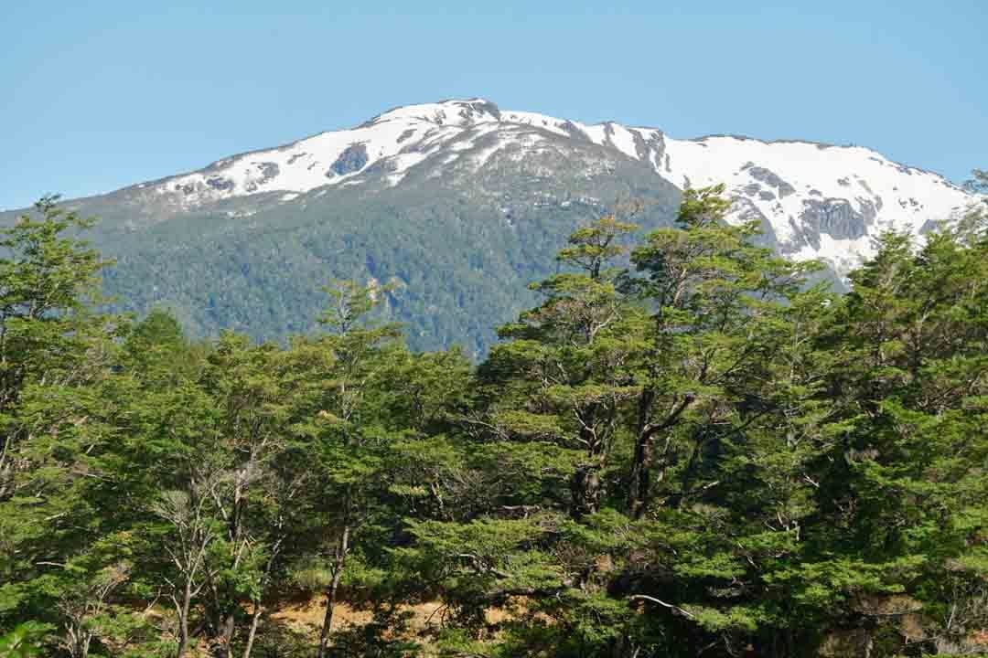 Bosques y cerros en Refugio del Alba