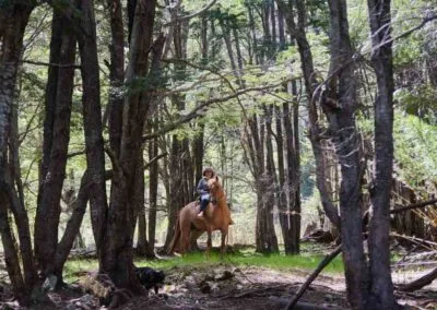 Caballos en Refugio del Alba