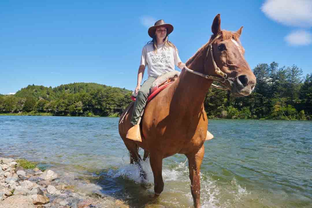 Caballo en Refugio del Alba