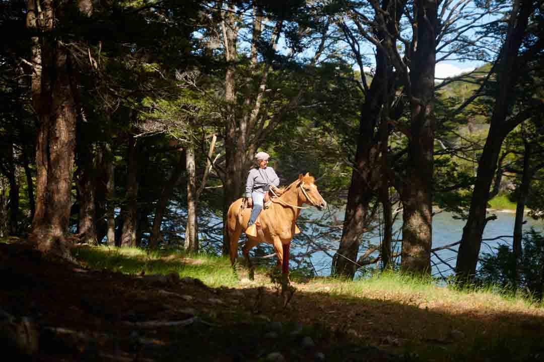 Caballo en el bosque de Refugio del Alba