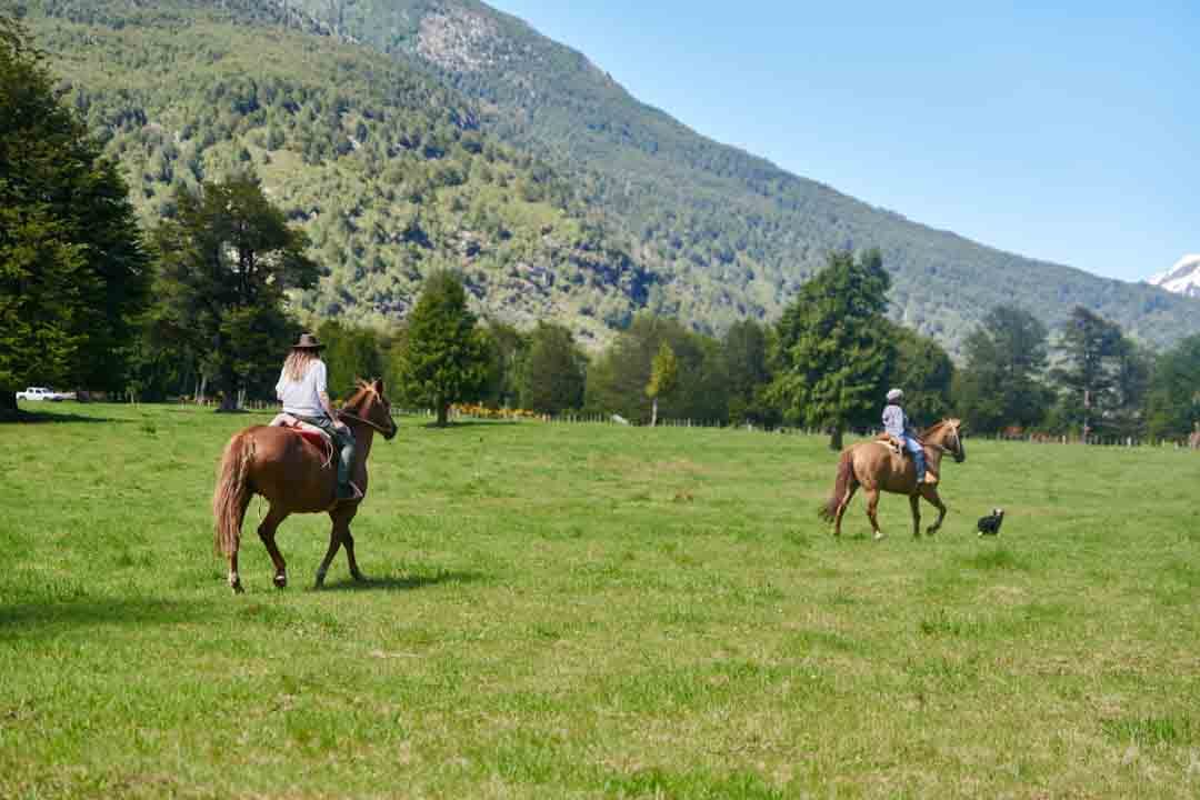 Caballos en Refugio del Alba