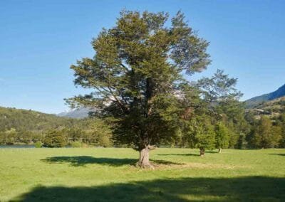 Refugio el Alba Lote C